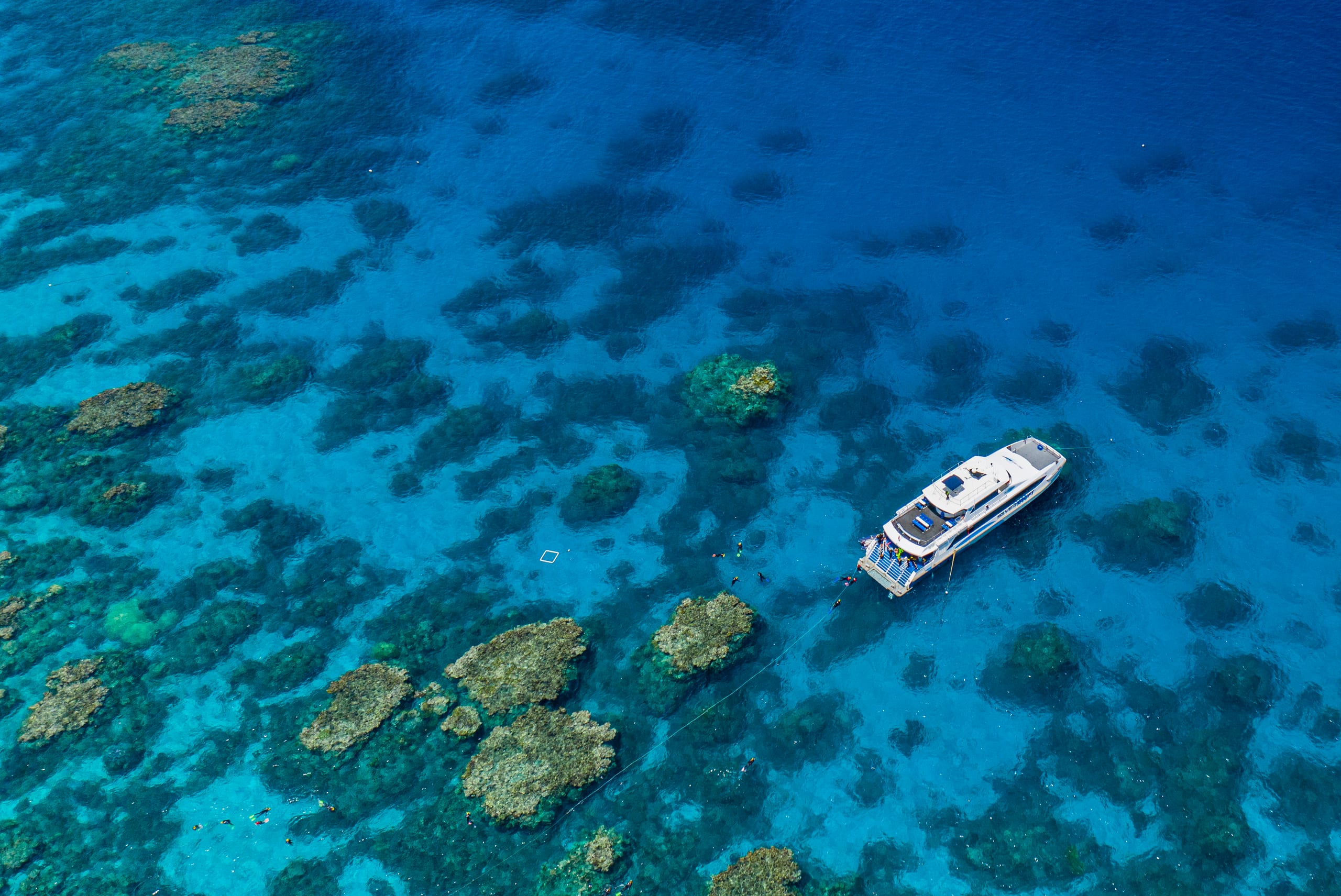 A dive boat moored over the reef, with snorkellers and divers in the water