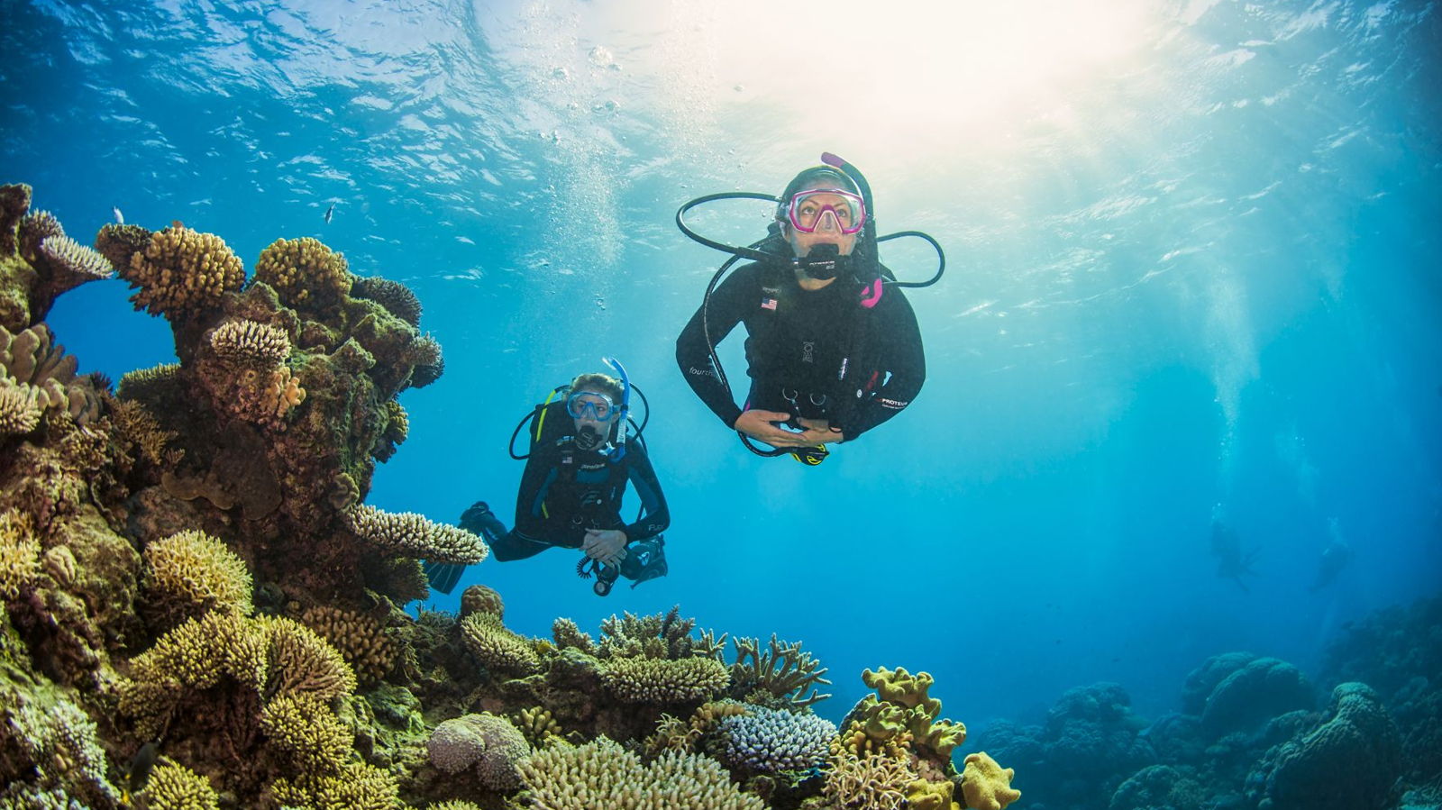 Divers over hard coral on the Great Barrier Reef