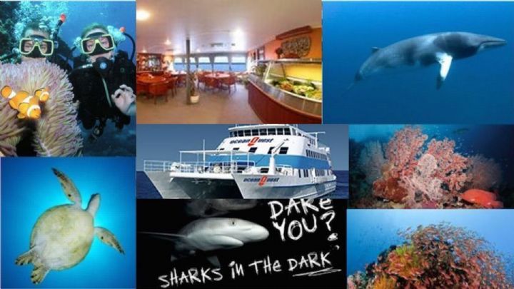 2 Day / 1 Night on the Great Barrier Reef