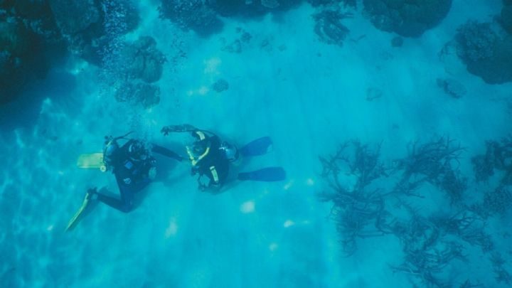 Divers over the outer Great Barrier Reef